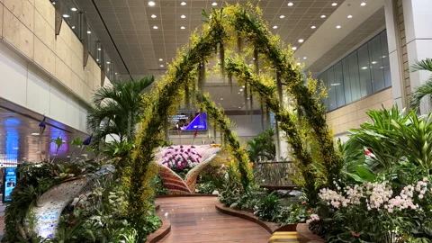 The Enchanted Garden is a major attraction at Terminal 2, Changi Airport. Stockbeeldmateriaal 314335612