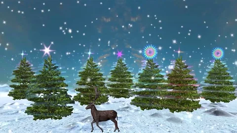 Enchanted grove Stock Footage 118649587