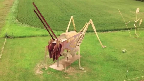 Enchanted Highway - Grasshoppers Stock Footage 238482726