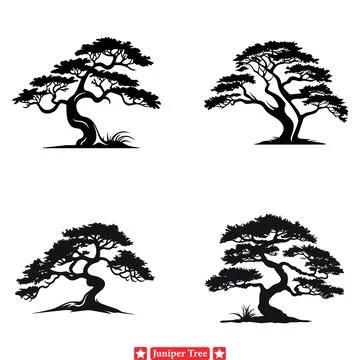 Enchanted Junipers  Whimsical Silhouette Set for Fantasy themed Art Stock Illustration