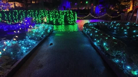 Enchanted Night Garden Path with Festive Holiday Lights Video stock 263412318
