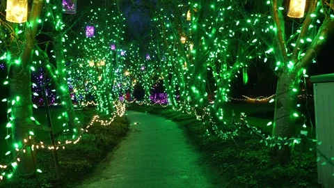 Enchanted Night Path Illuminated with Festive Twinkling Lights Stock Footage 263929988