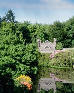 Enchanted Foto stock