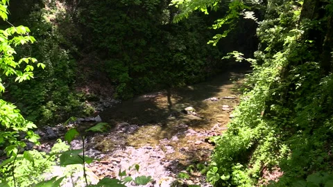 The Enchanted Realm of the Cauldron 動画素材 332202780