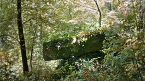 Enchanted Sintra forest rock Video stock 25949825