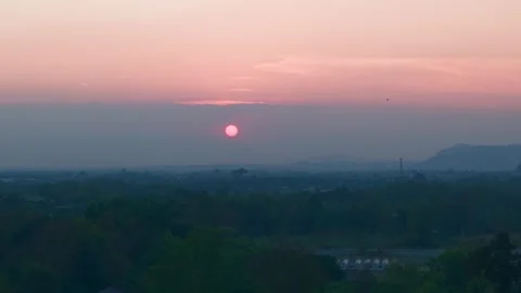 Enchanted Sunset Forest Stock Footage 301634320