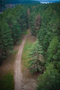 Enchanted Trails: Path in the Forest Foto stock