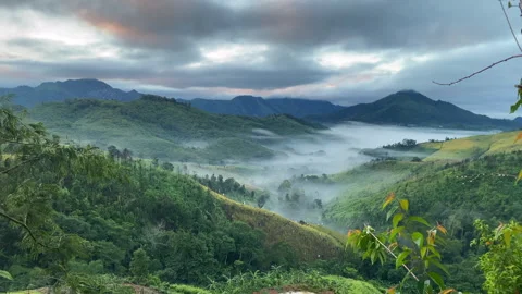 Enchanted Valley with Mist and Mountains at Dawn Stock Footage 306170336