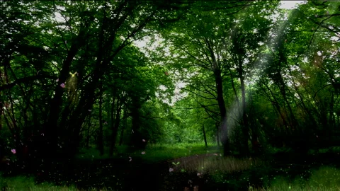 Enchanted waterfall in the forest. Stock Footage 168669878