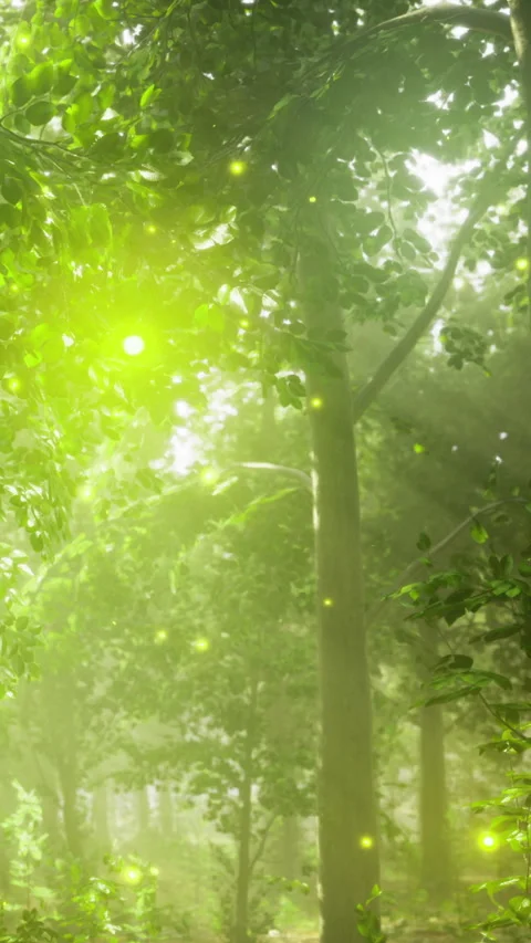 Enchanting bioluminescence in a tranquil forest during early evening Stock Footage 331690356