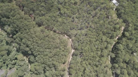 Enchanting Da Lat: Aerial Perspectives of Natural Splendor Video stock 242575659