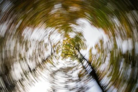 An enchanting dynamic view showcasing trees adorned with swirling leaves in a Stock Photos