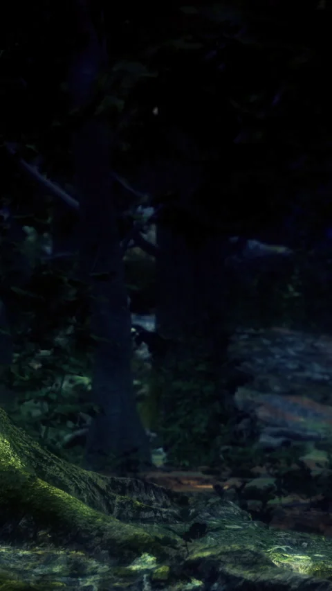 Enchanting moonlit forest scene filled with whispers of nature and magic Stock Footage 334206424