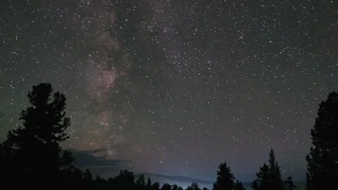 The Enchanting Night Sky: A Celestial Symphony of Stars and Silhouetted Trees Video stock 257162072