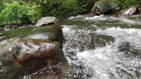 Enchanting Rainforest Waterfall: Serene Stream Amid Lush Greenery Vidéo 248123722