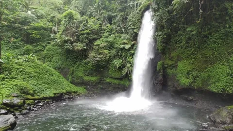 Enchanting Rainforest Waterfall: Serene Stream Amid Lush Greenery Vidéo 248123738