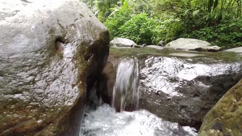 Enchanting Rainforest Waterfall: Serene Stream Amid Lush Greenery Vidéo 248123789