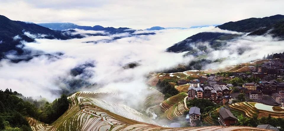 Enchanting Terraced Fields Stock Photos