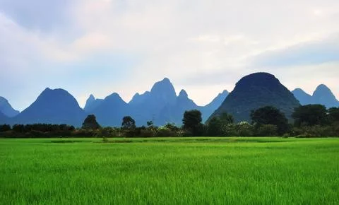Enchanting Terraced Fields Stock Photos