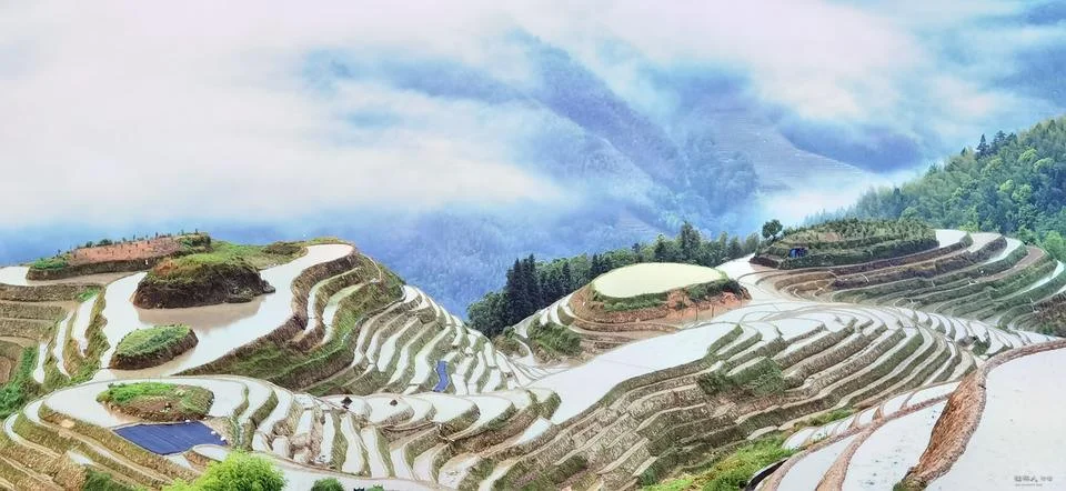 Enchanting Terraced Fields Stock Photos