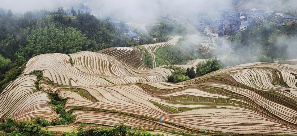Enchanting Terraced Fields Stock Photos