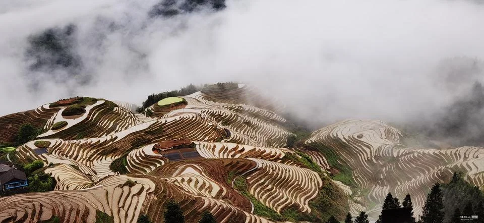 Enchanting Terraced Fields Stock Photos