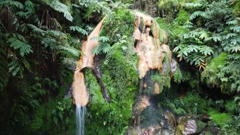 Enchanting Waterfall Surrounded by Verdant Forests in the Azores 库存影片 301734657