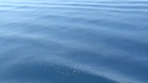 The enchantingly beautiful waves shimmer in the sun's rays 库存影片 335758729