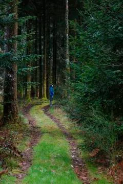 Enchated trail Stock Photos