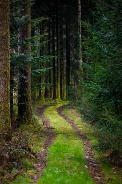 Enchated trail Stock Photos