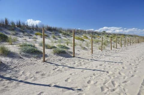 Enclosed dunes Stock Photos
