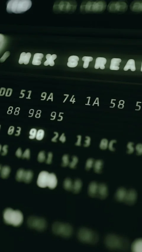 Encoded data displayed as hexadecimal values in columns Vidéo 332464411