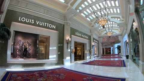 8 Louis Vuitton Malletier Stock Video Footage - 4K and HD Video