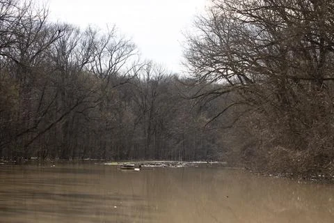 Encroaching Floodwaters Stock-Fotos