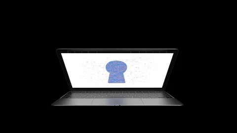 Encrypted data on the computer. Protection of work on the Internet. 79 스톡 동영상 100970092