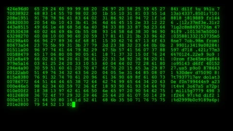 Encrypted fast long scrolling programming security hacking code data flow stream Stock Footage 102262931