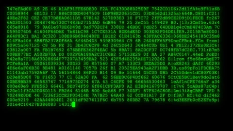 Encrypted fast long scrolling programming security hacking code data flow stream Stock Footage 102267509