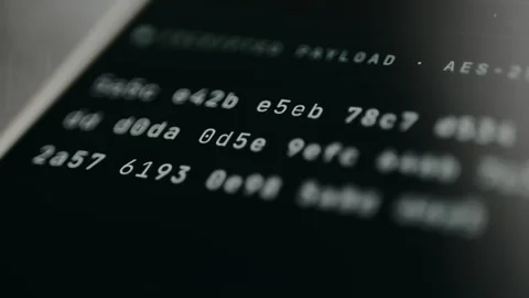 Encrypted payload, hexadecimal values arranged in blocks Stock Footage 331571505