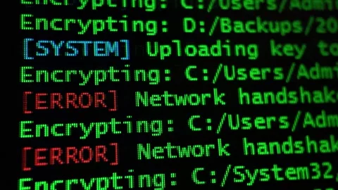 Encrypting Virus - Computer Trojan Attack Video stock 342724022