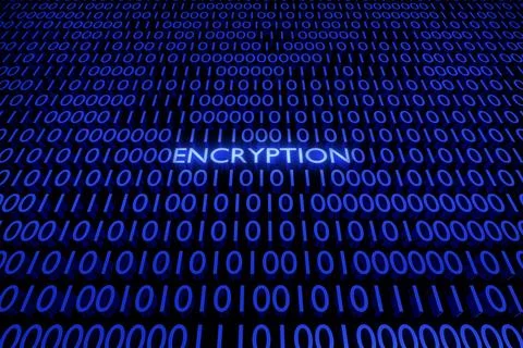 Encryption text among wall of 0 and 1 numbers. Zero and one digits. Illustrazione stock