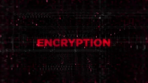 Encryption Text Animation on Digital Background Red Color Stock Footage 343459723