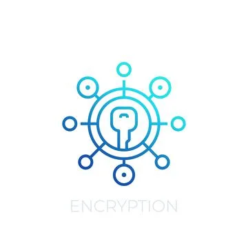 Encryption vector line icon on white Stockillustratie