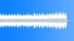 The End, 80s (Acoustic Guitar Soft Sad Calm Quiet Light Melancholy Spa Flowing)Stock Music