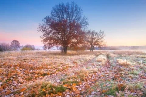 The end of autumn Stock Photos