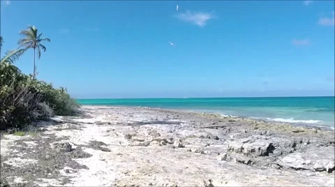 End of the beach.mp4 Stock Footage 47290061