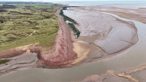 End of the Blitz beach at Hightown Stock Footage 331817831