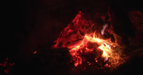 End of the bonfire Stock Footage 164485834