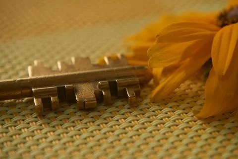 End of a brass security key and yellow sunflower Stock Photos