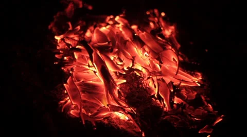 End of the campfire at night. 库存影片 36243331