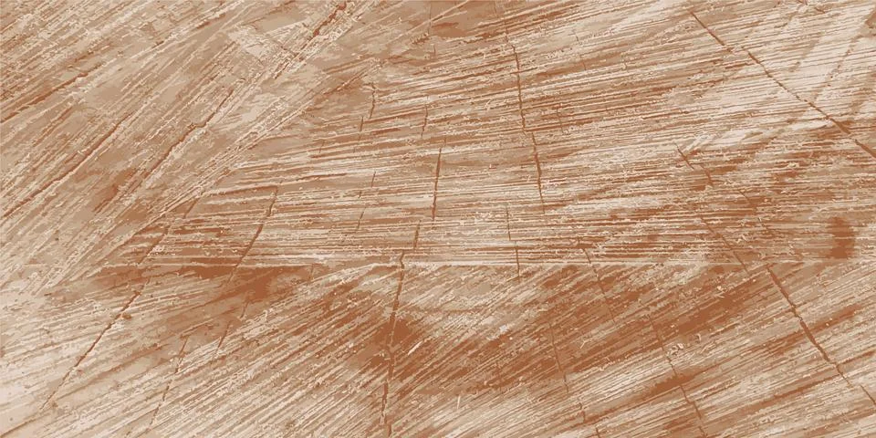 End cut of a tree. End grain wood texture. Vector illustration Illustrazione stock